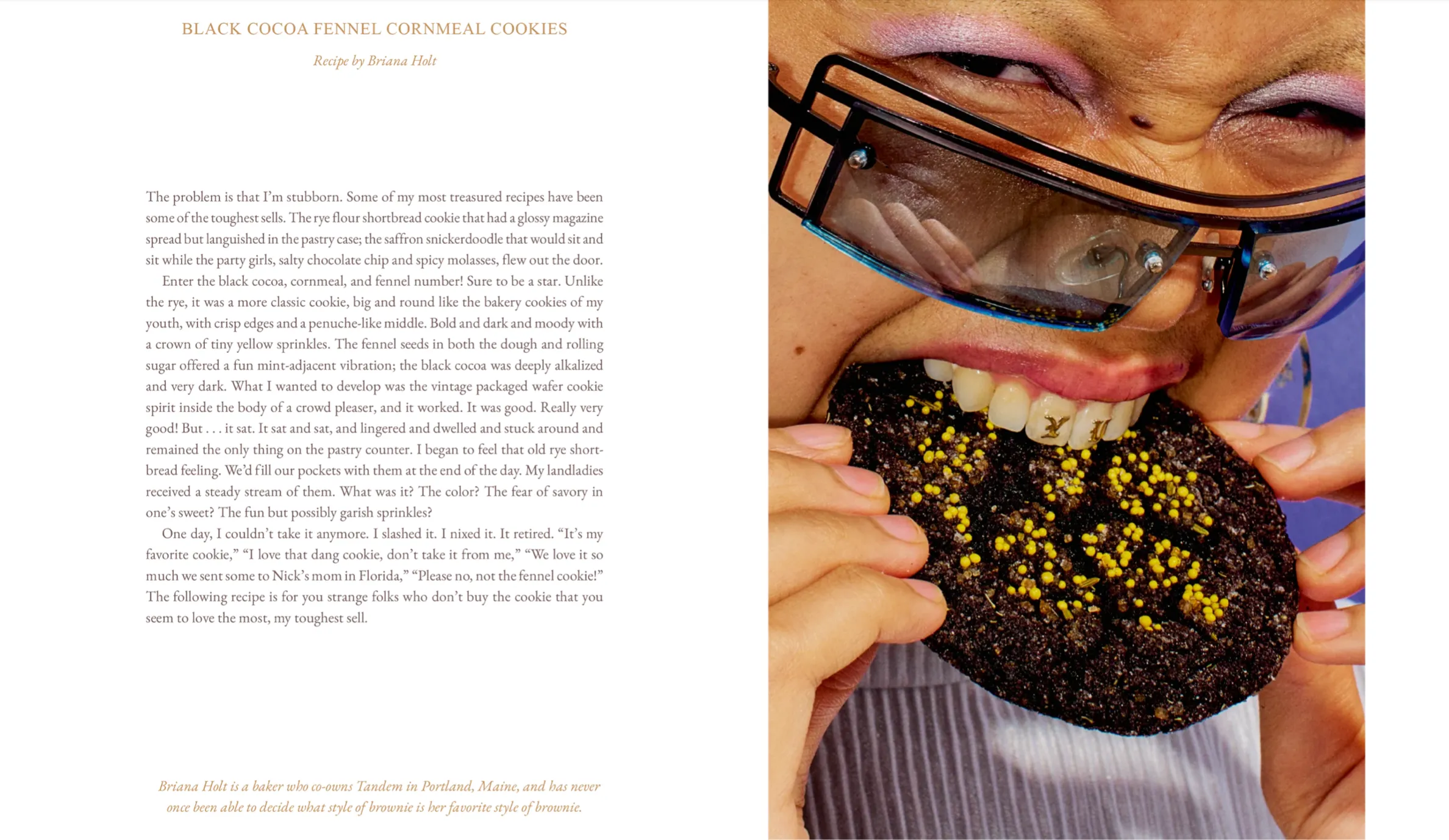 Cake Zine Volume 4 : Tough Cookie