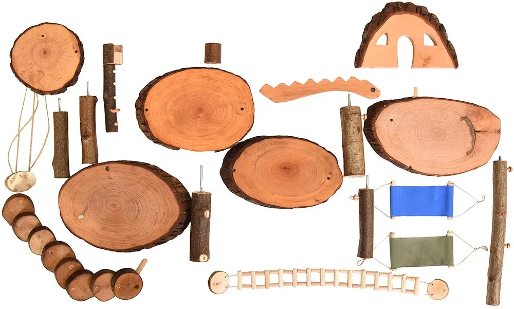 Magic Wood Adventure Playground