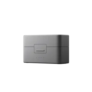 Mic Mini Charging Case