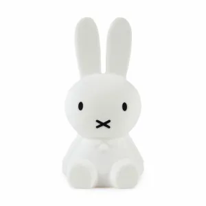 Miffy and Friends Silicone Rechargeable Lights - Miffy
