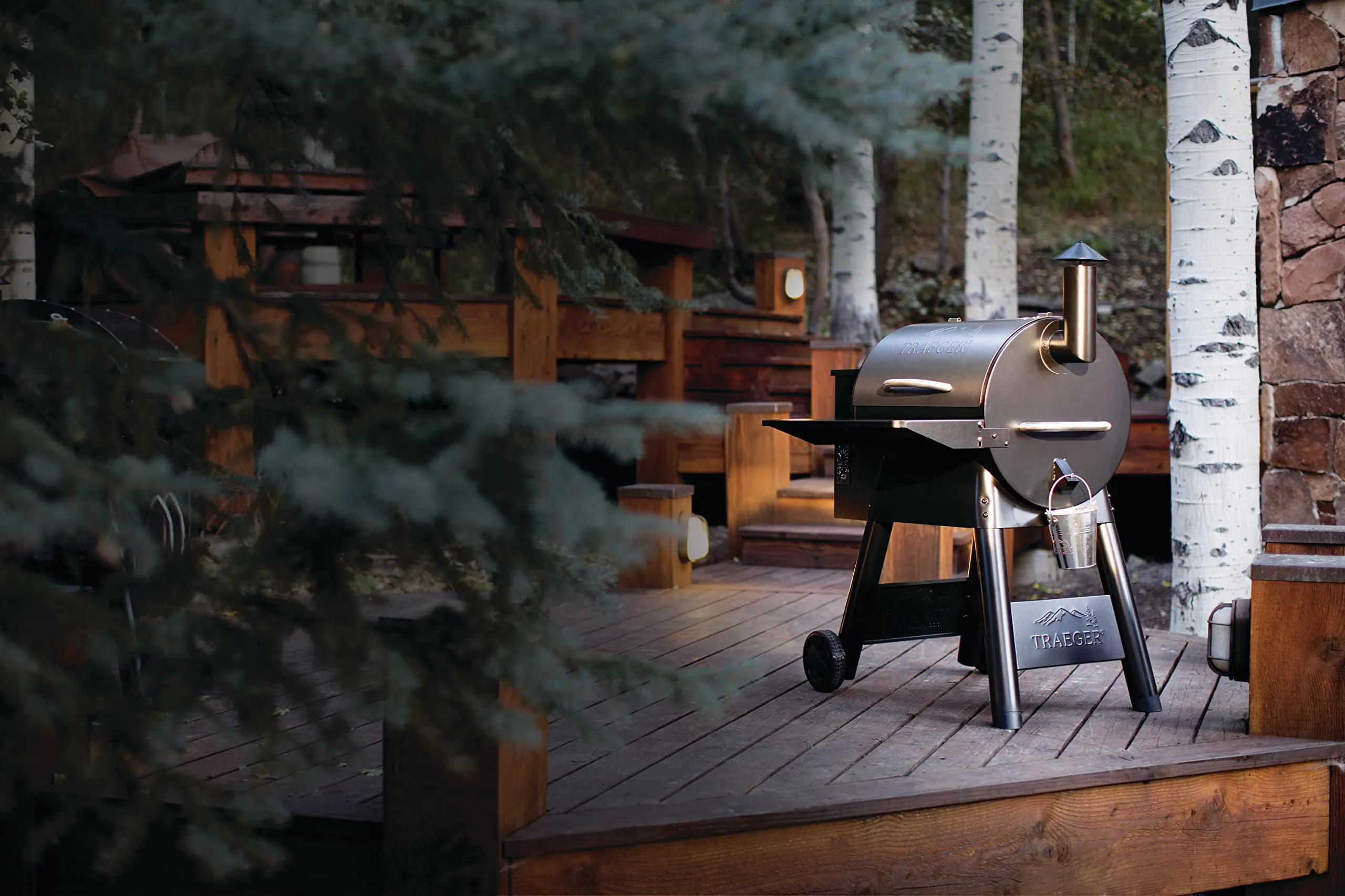 Traeger Grills Pro 22 Wood Pellet Grill & Smoker, Electric Pellet Smoker Grill Combo, 6-in-1 BBQ Versatility, 572 sq. in. Grilling Capacity, Meat Probe, 450 Degree Max Temperature, 18LB Hopper, Bronze
